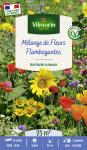Mélanges de fleurs - Fleurs Flamboyantes - 25 m² - Mélange de fleurs - PACKAGING_RECTO